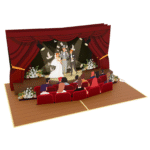 Magic-Wedding-3D-Pop-Up-Card-7